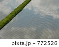 空の中の畦道