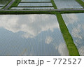 水田の中に見えた空
