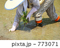 日本の農業　田植え作業