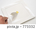 サプリメントを食べるイメージ（DHA／EPAカプセル）