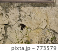 773579