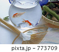 夏の窓辺