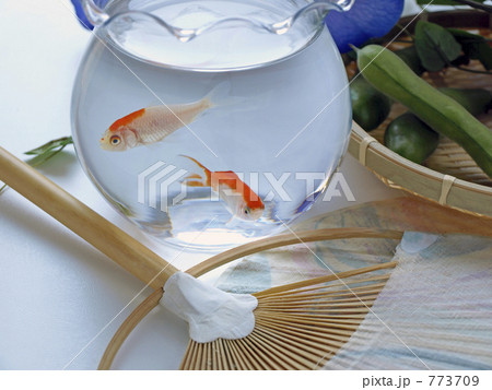 「夏の窓辺」の写真素材
