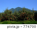 山のりんご園