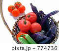 収穫した夏野菜