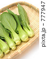 チンゲンサイ青梗菜のイメージ