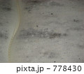 778430