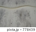 778439