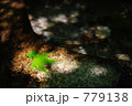 779138