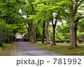 春の岩手公園（盛岡城跡公園）