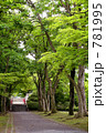 春の岩手公園（盛岡城跡公園）