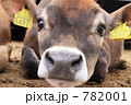 腹ばいになって