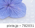 あじさい