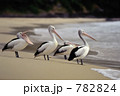 タカレナ0087