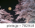 船岡城址公園　夜桜