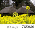 菜の花と茅葺屋根