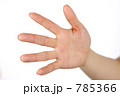 手のひら