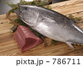 生鮪刺身
