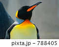 788405