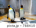 788410
