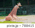 788415