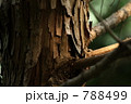木の温もり 木の温もり