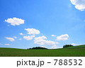 素材ナンバー 788532 : 「大自然」