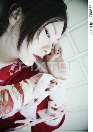 包帯白女菊花 包帯白女菊花