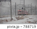 伊賀鉄道のペイント電車　雪　遠景