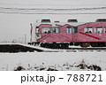 伊賀鉄道　忍者列車　雪　横向き