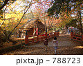 奈良の紅葉