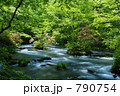 奥入瀬渓流