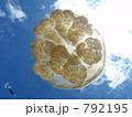 空に浮かぶクラゲ