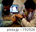 患部状況を、チェック、チェック