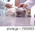 先生に爪を切ってもらって。。。おまけにナデナデされたニャン♪