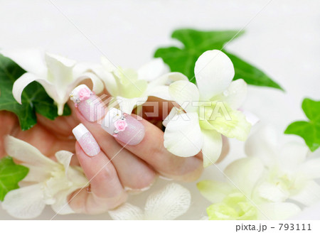 「ランの花とネイル」の写真素材 「ランの花とネイル」の写真素材