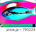 魚のホネ