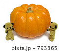 カボチャを挟んでミニチュアテディベア　野菜　ハロウィン
