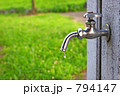 緑と水