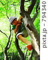 木登りをする子供