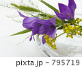 初秋の花 初秋の花