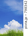 夏雲