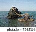 夫婦岩　春