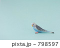 798597