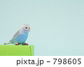 798605