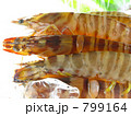 新鮮クルマエビ