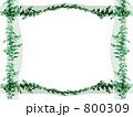 IVY FRAME. Ⅱ