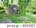 遠野散歩・伝承園　佐々木喜善の記念碑