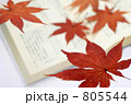 紅葉のしおり