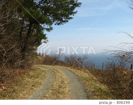 「海の見える山道」の写真素材